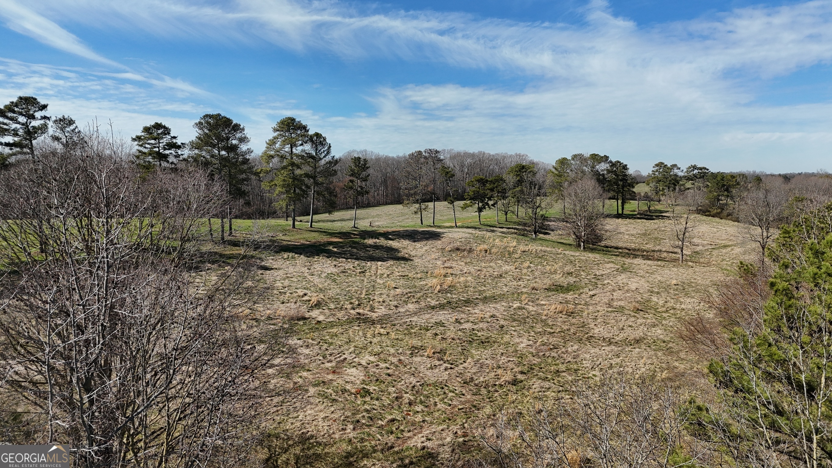 21 Jess Lane Commerce, GA 30530 - Photo 22 of 52 a view of a yard with trees in the background