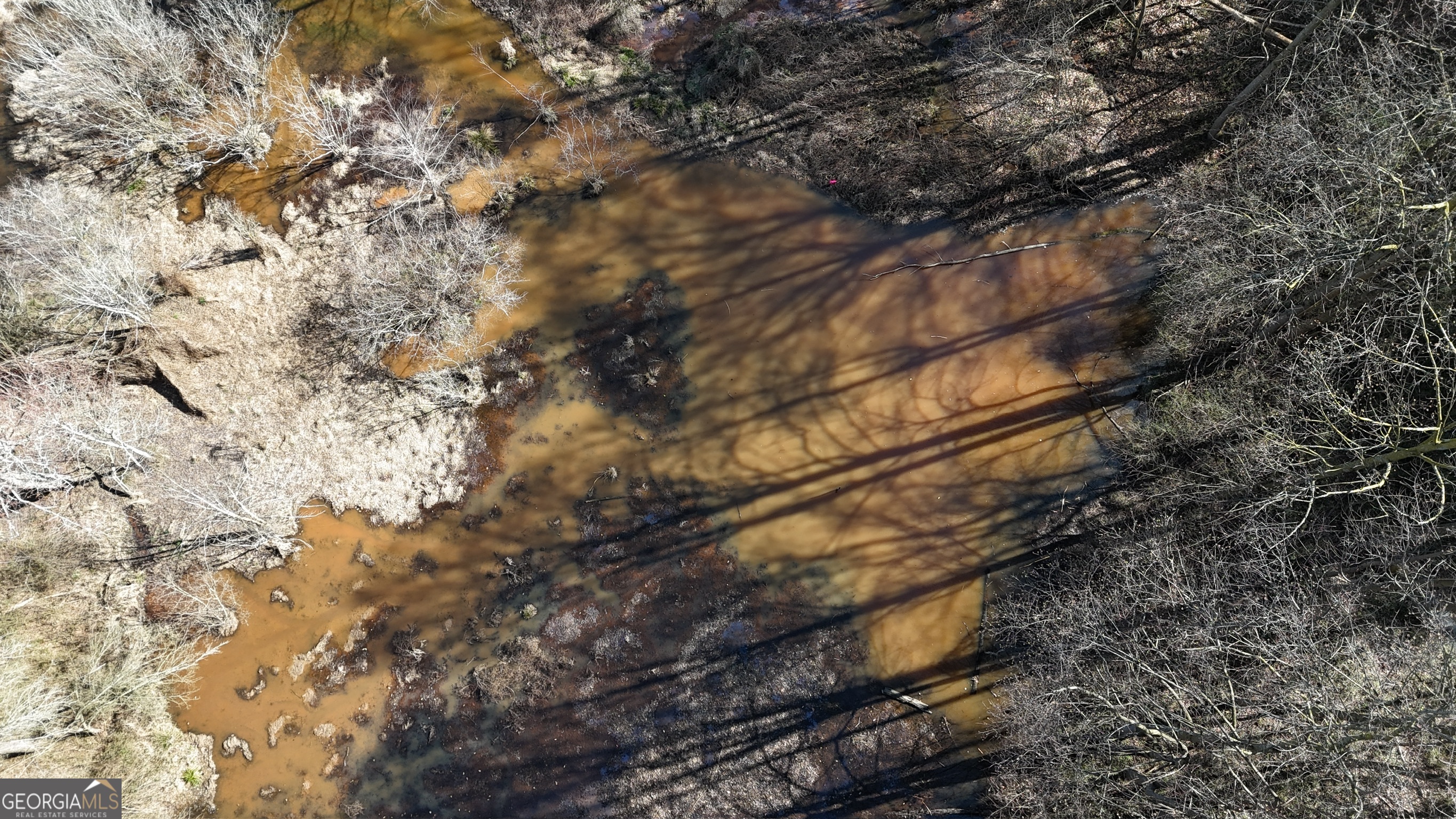21 Jess Lane Commerce, GA 30530 - Photo 25 of 52 a backyard of a house with lots of tree