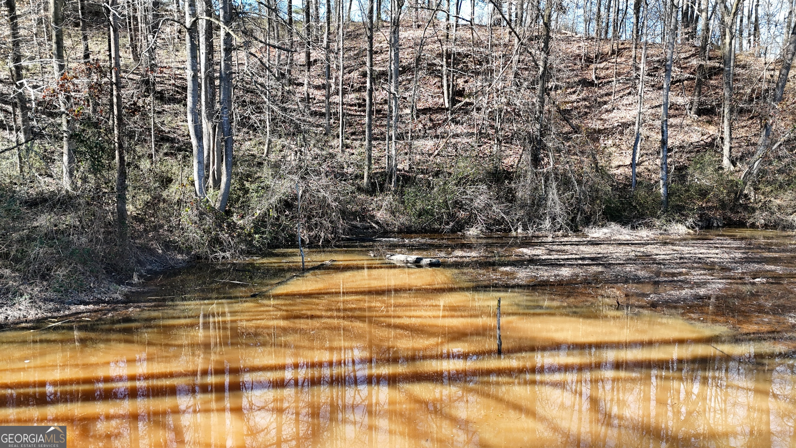 21 Jess Lane Commerce, GA 30530 - Photo 28 of 52 a view of swimming pool