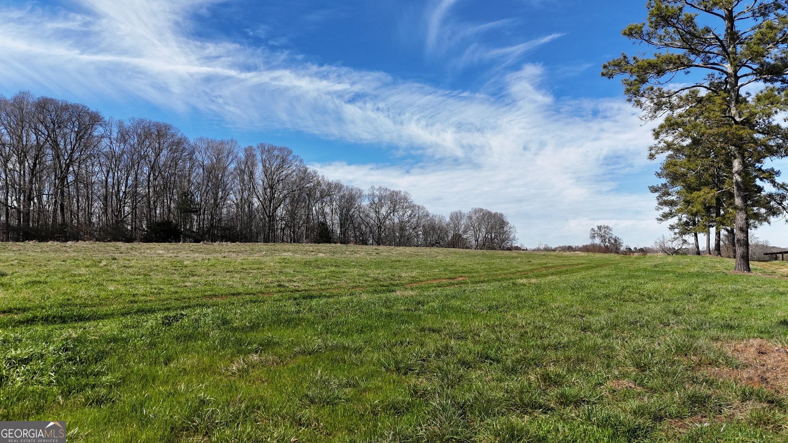 21 Jess Lane Commerce, GA 30530 - Photo 3 of 52 a view of a field of grass and trees
