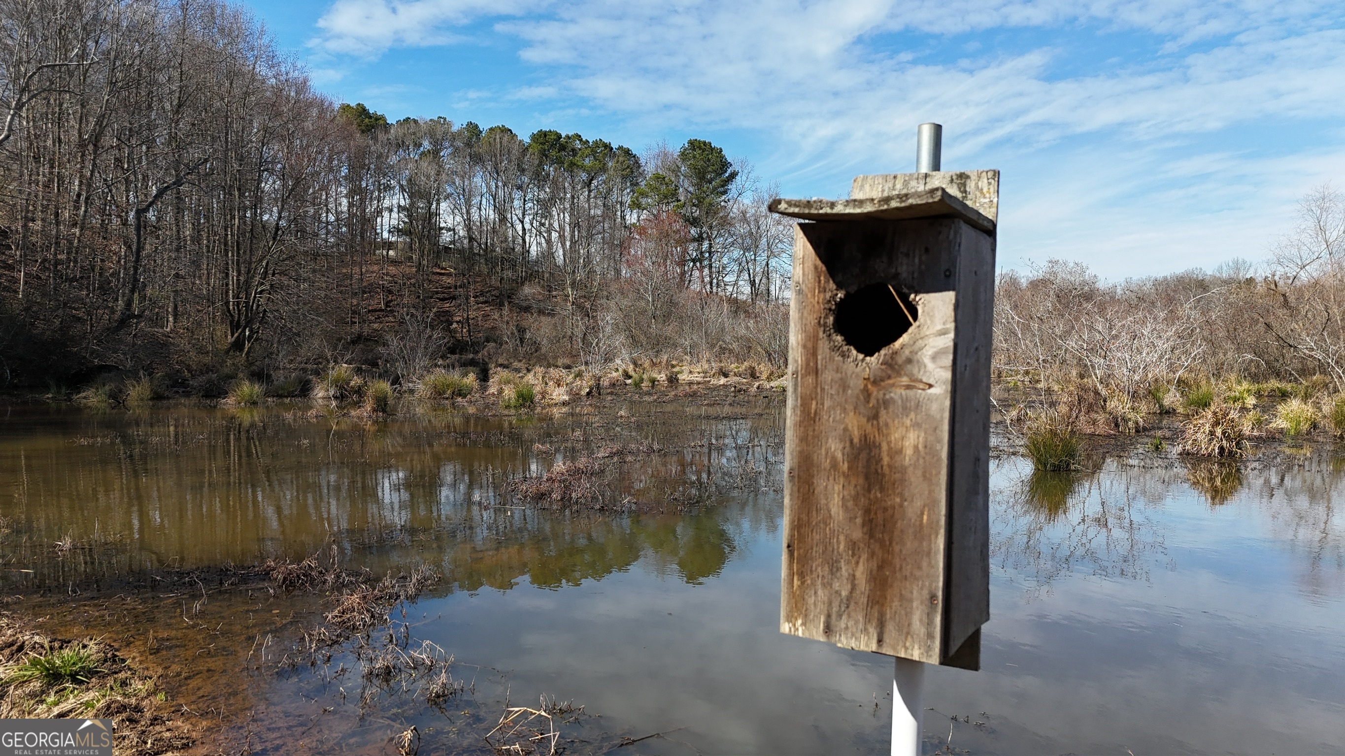 21 Jess Lane Commerce, GA 30530 - Photo 33 of 52 a water view of a lake in middle of the forest
