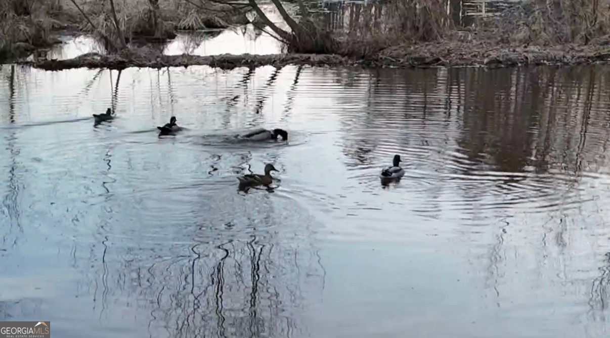 21 Jess Lane Commerce, GA 30530 - Photo 34 of 52 a view of water view