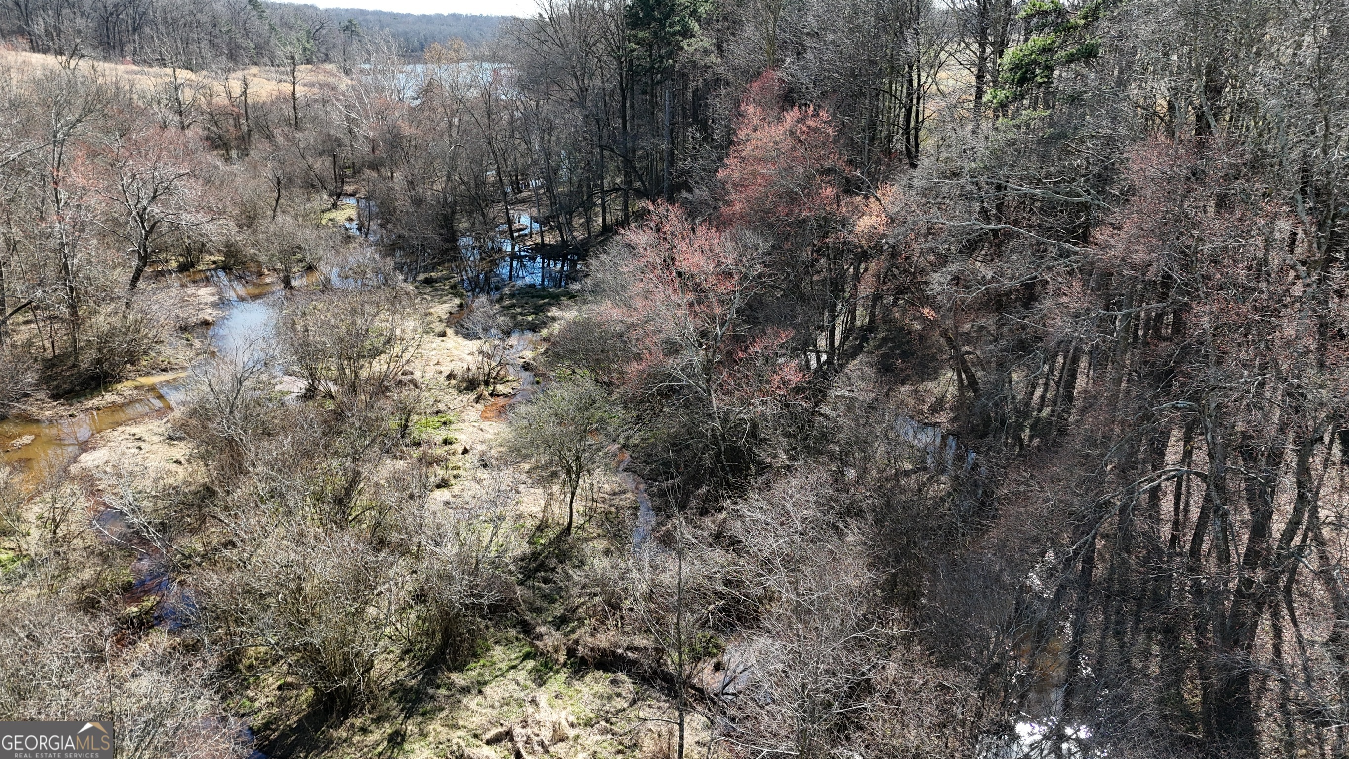 21 Jess Lane Commerce, GA 30530 - Photo 35 of 52 a view of a forest in the forest
