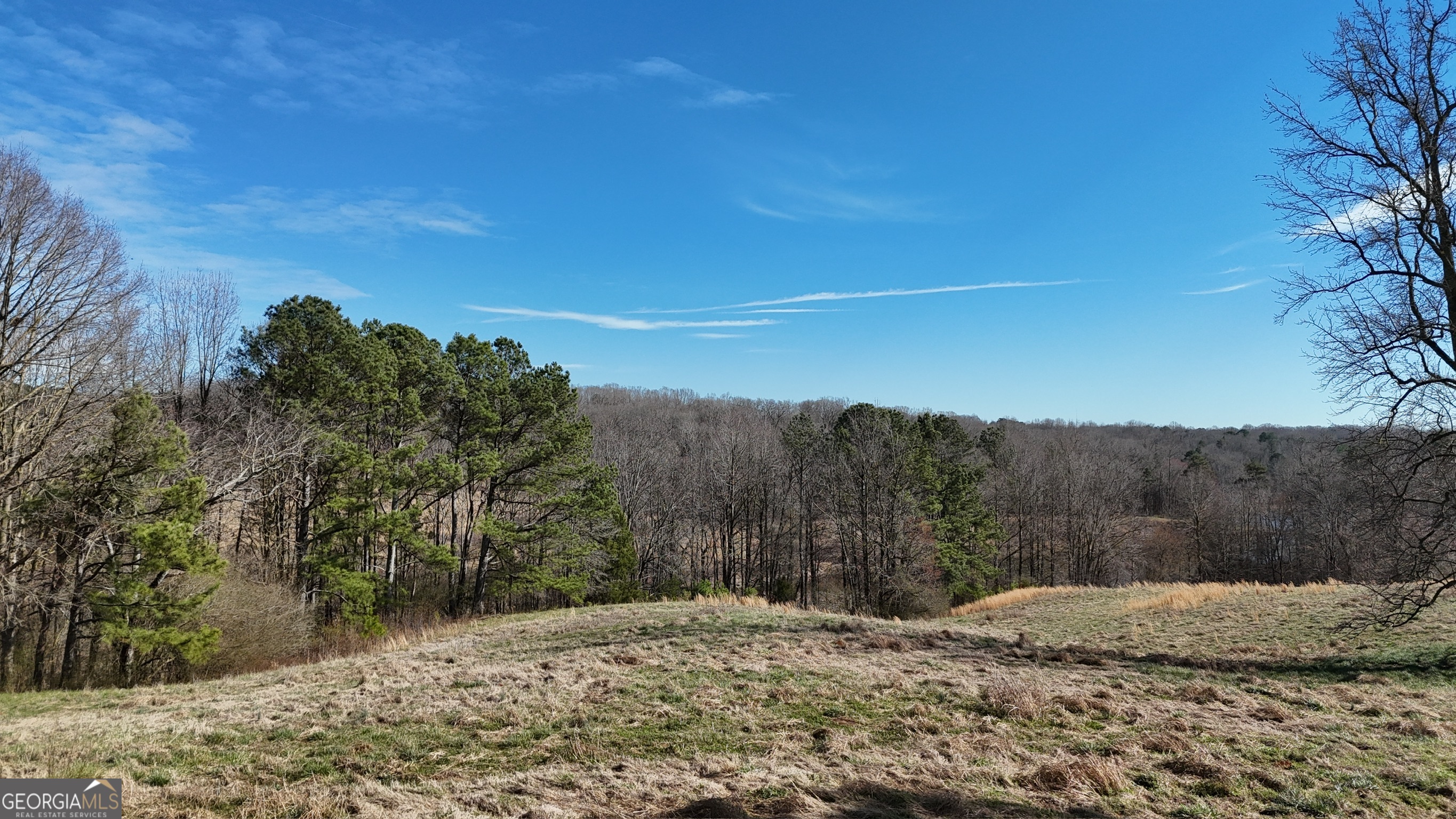 21 Jess Lane Commerce, GA 30530 - Photo 4 of 52 a view of a yard with a tree