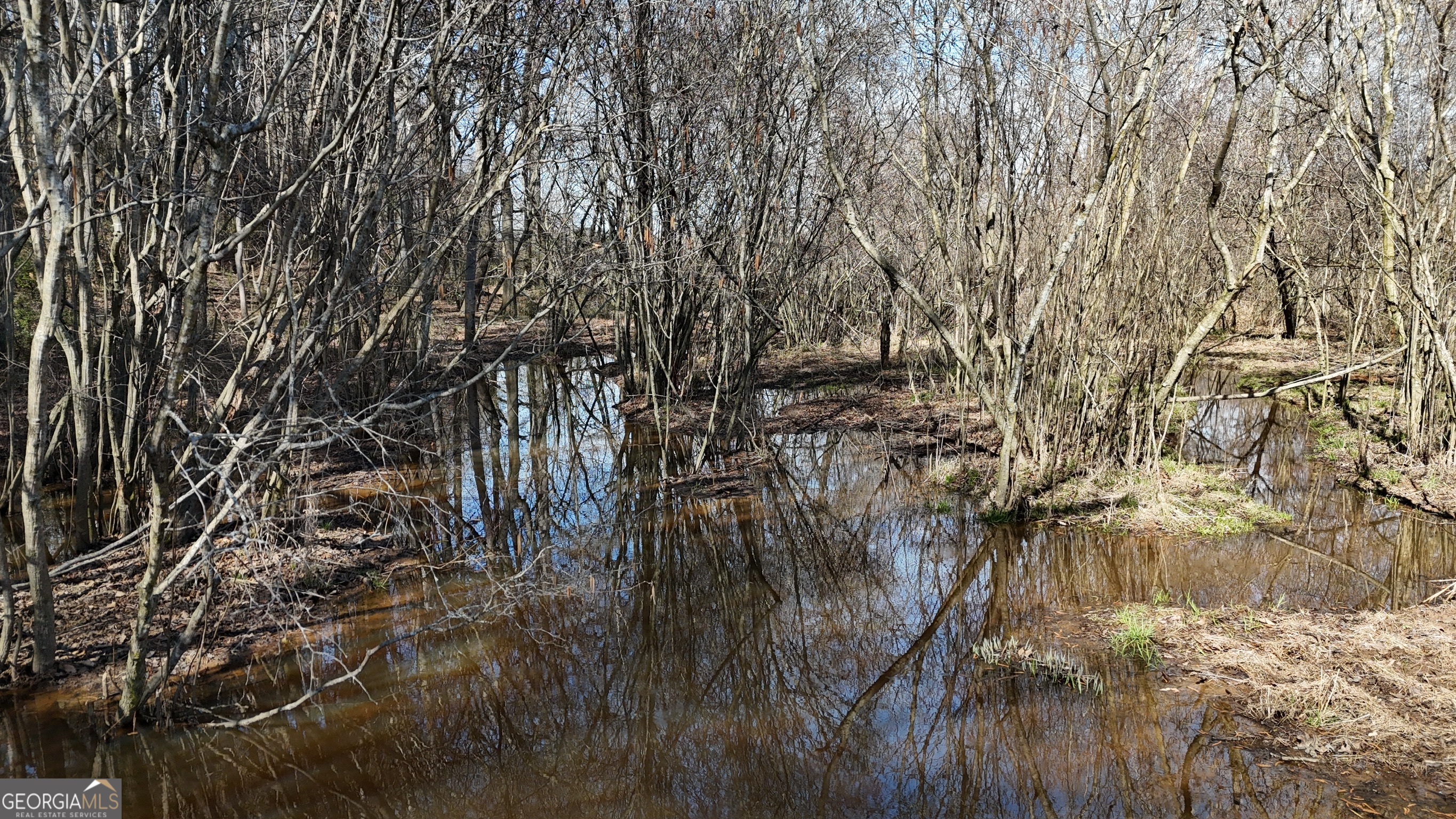 21 Jess Lane Commerce, GA 30530 - Photo 41 of 52 a view of forest