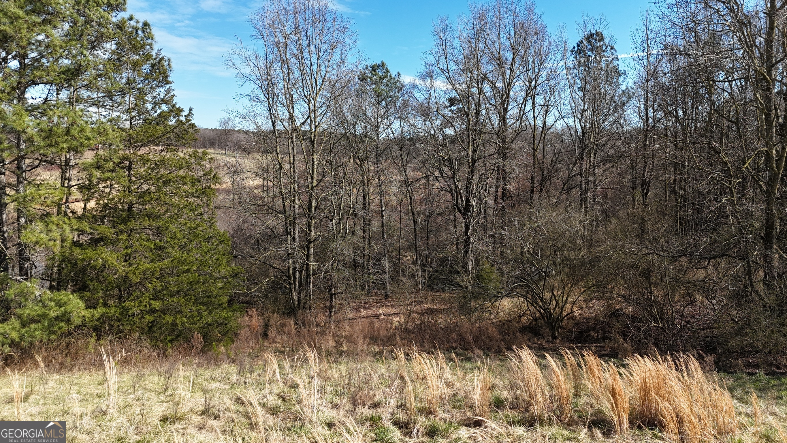 21 Jess Lane Commerce, GA 30530 - Photo 44 of 52 a view of a yard