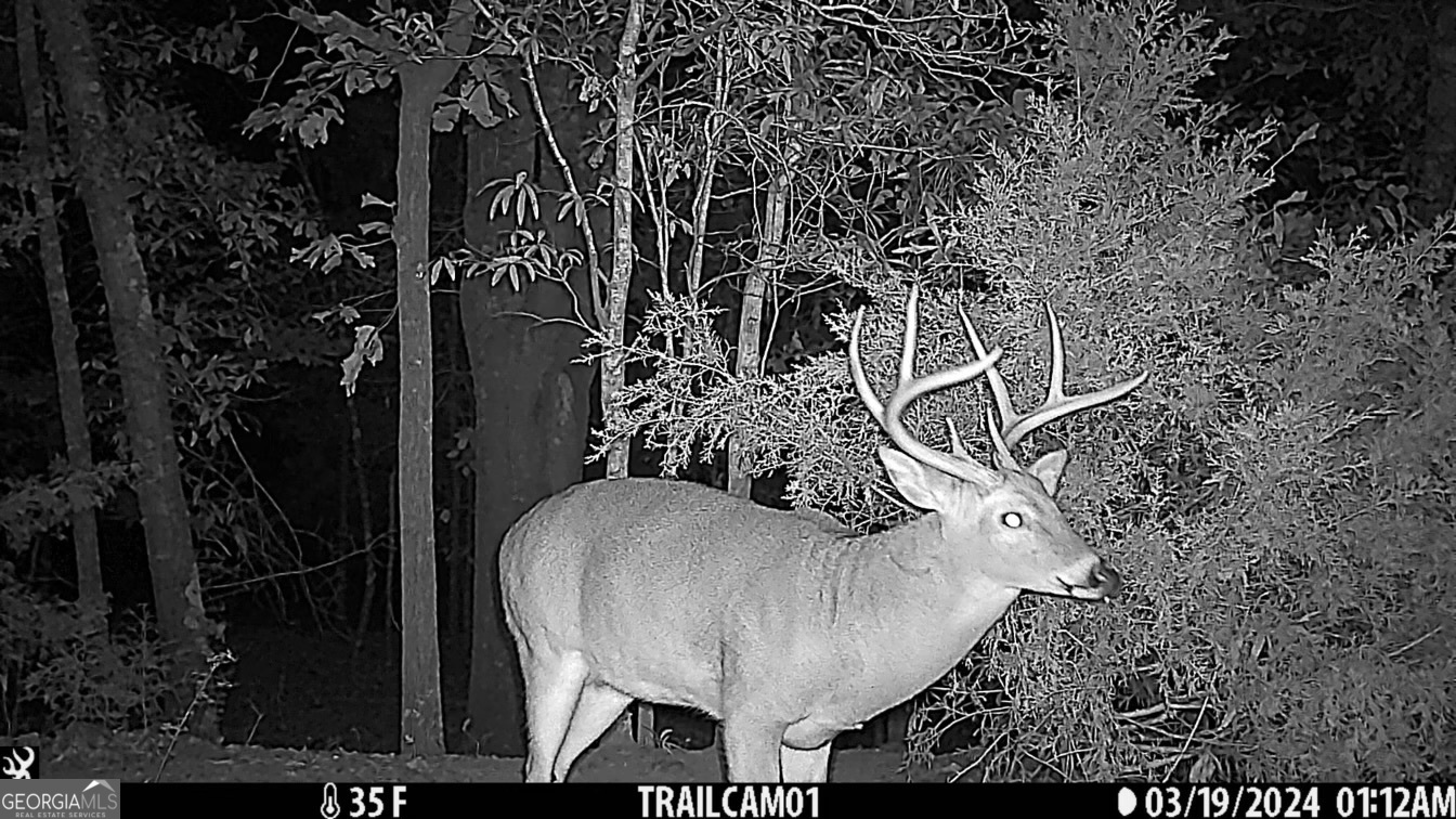 21 Jess Lane Commerce, GA 30530 - Photo 45 of 52 a view of entryway