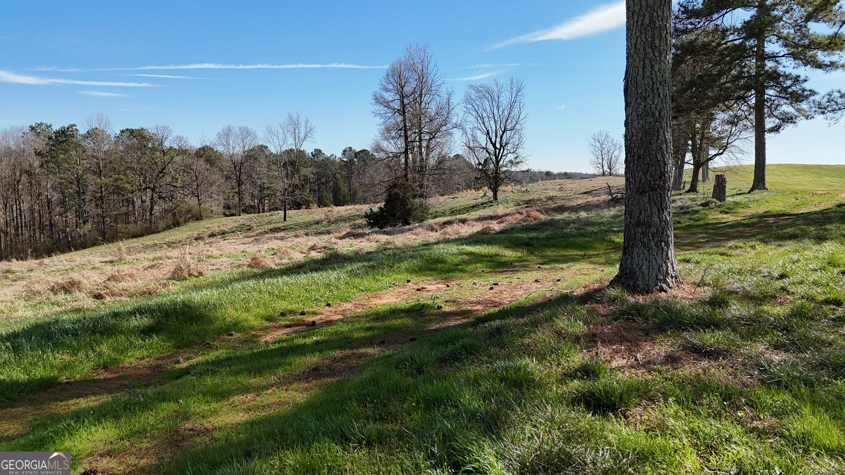 21 Jess Lane Commerce, GA 30530 - Photo 46 of 52 a view of a yard with an trees