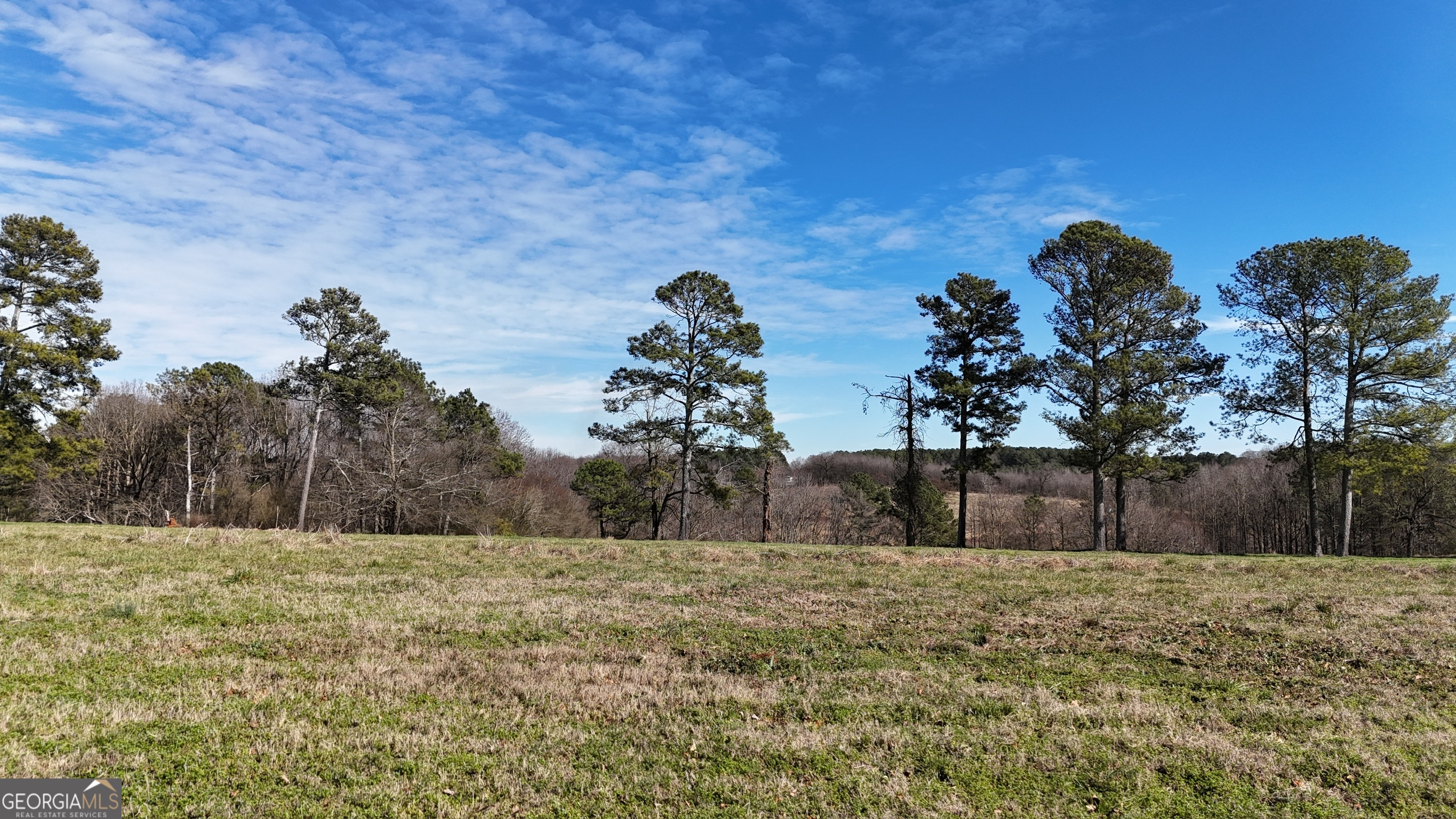 21 Jess Lane Commerce, GA 30530 - Photo 47 of 52 a view of outdoor space and yard