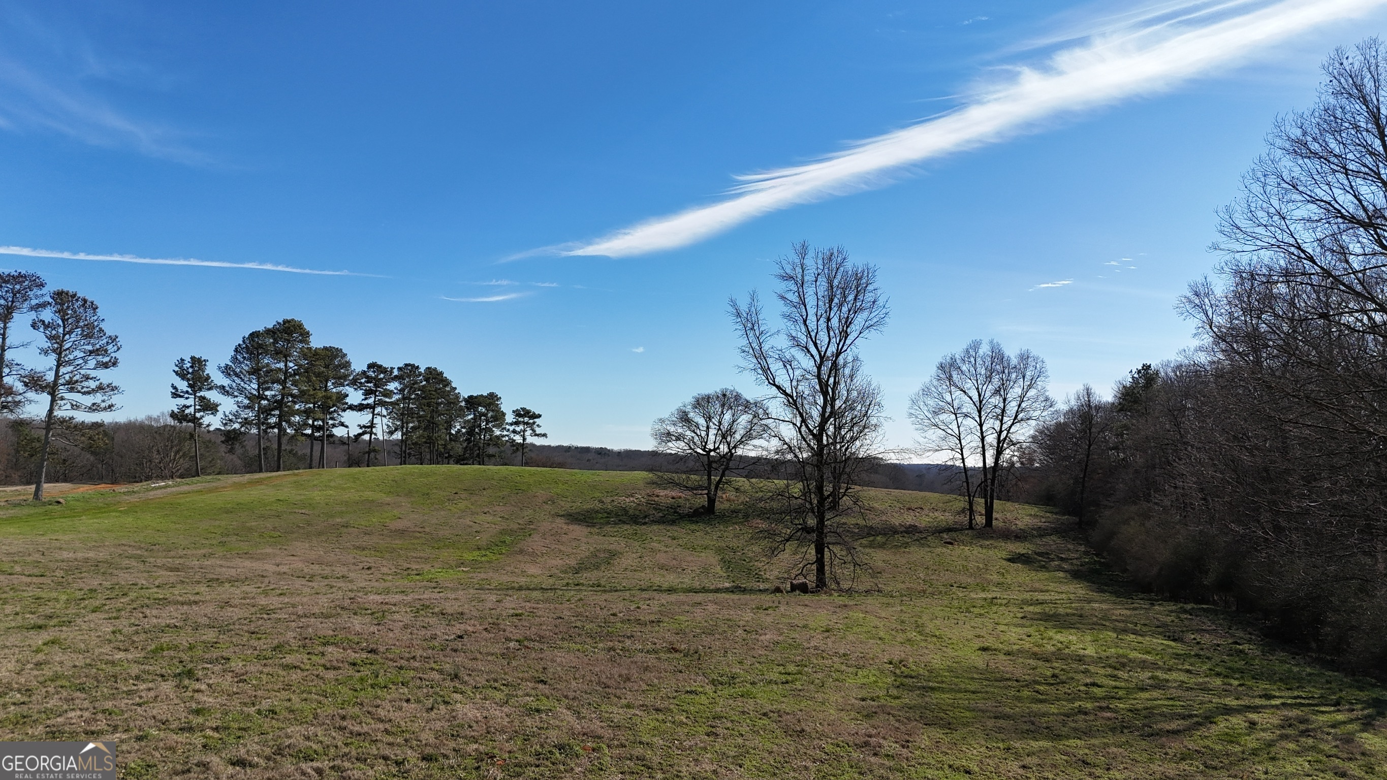 21 Jess Lane Commerce, GA 30530 - Photo 48 of 52 a view of a field with a tree