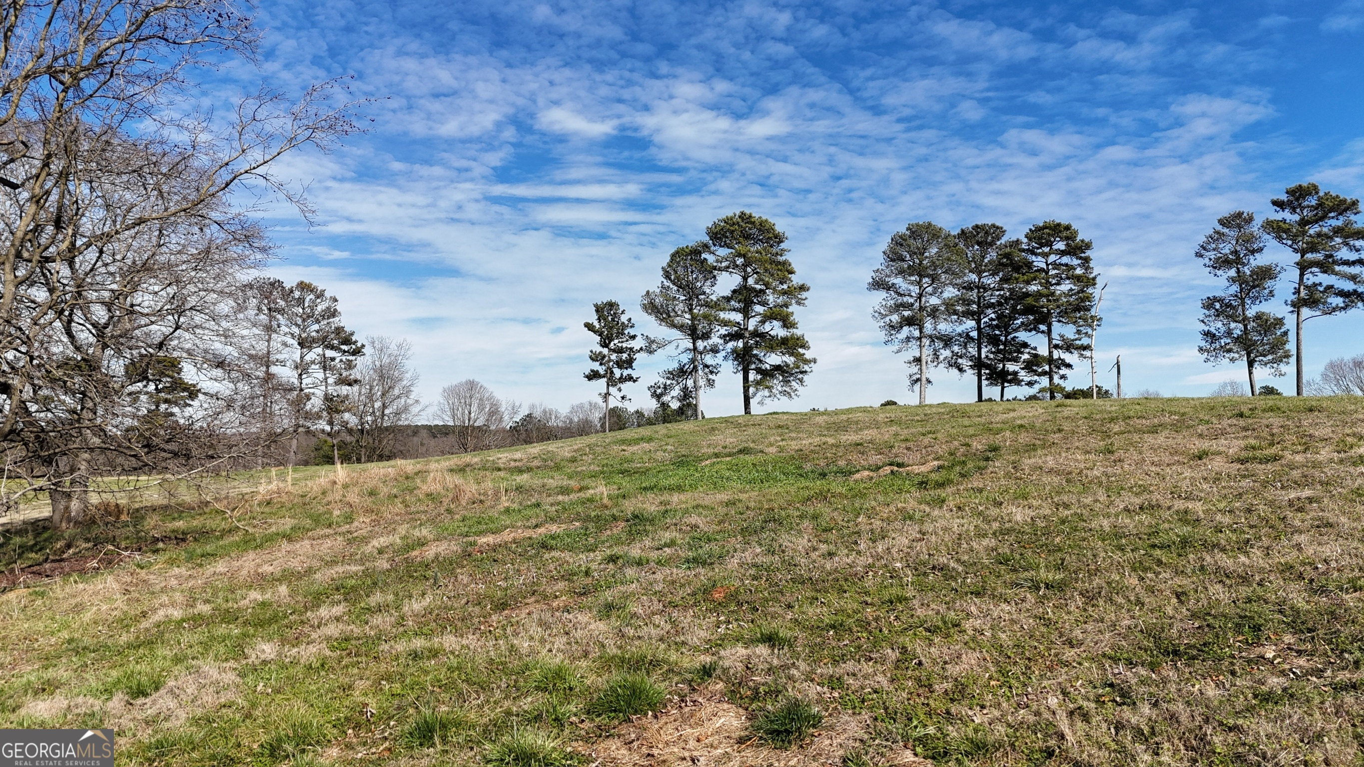 21 Jess Lane Commerce, GA 30530 - Photo 49 of 52 a view of outdoor space