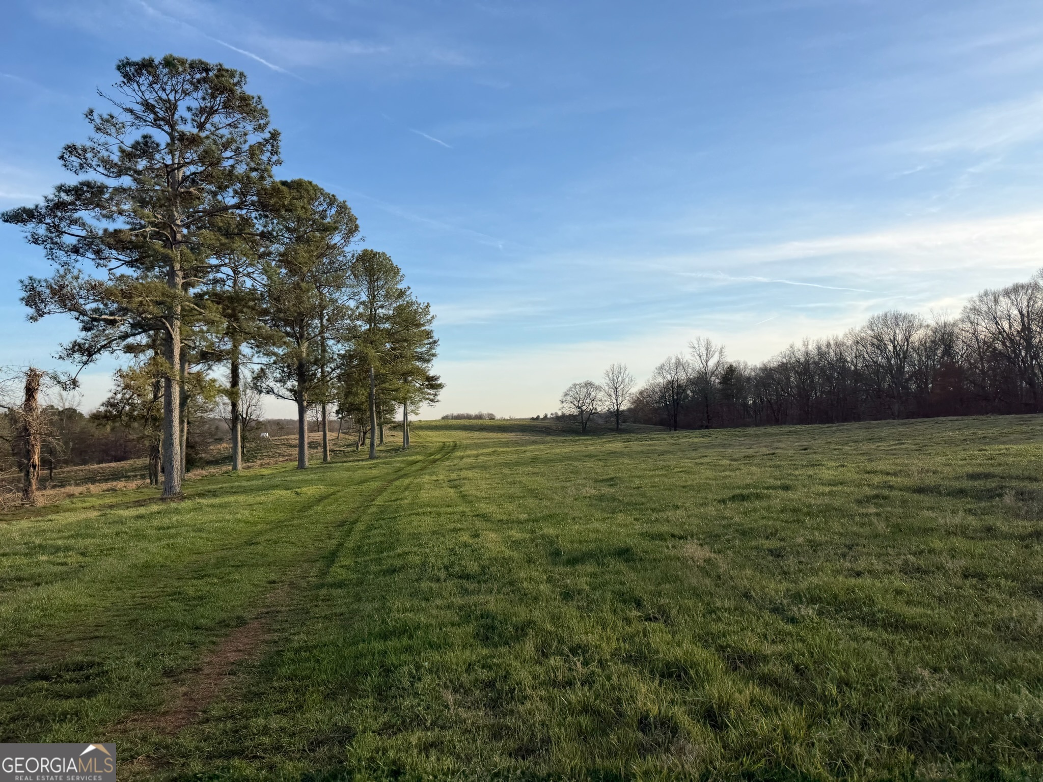 21 Jess Lane Commerce, GA 30530 - Photo 5 of 52 a view of outdoor space and yard