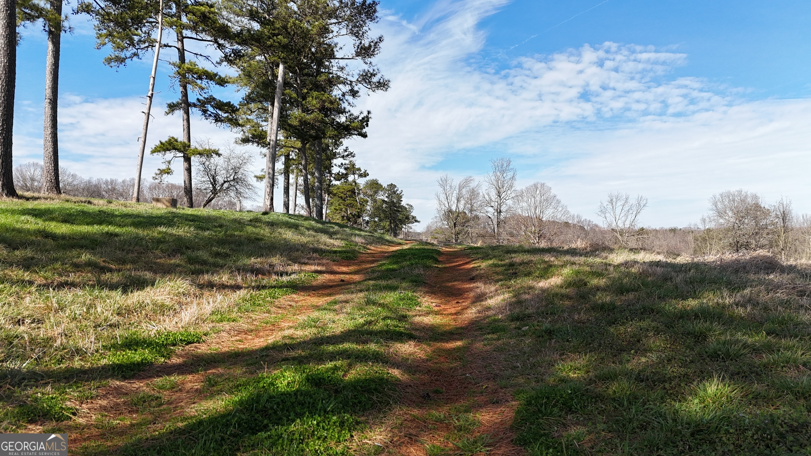 21 Jess Lane Commerce, GA 30530 - Photo 51 of 52 a view of a yard with an trees