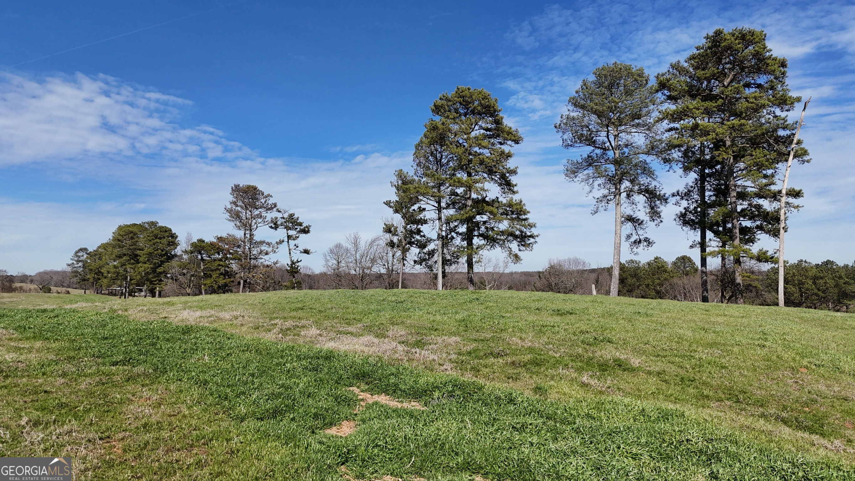 21 Jess Lane Commerce, GA 30530 - Photo 6 of 52 a view of a field with a tree