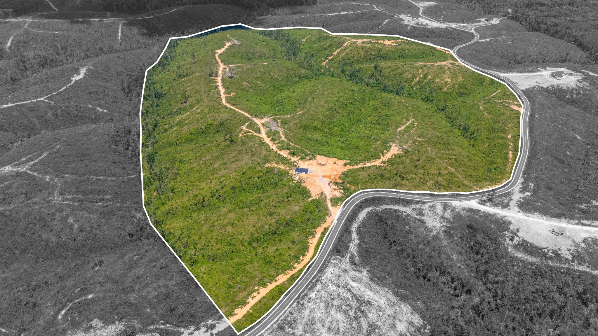 241 Springer Road Hohenwald, TN 38462 - Photo 28 of 63