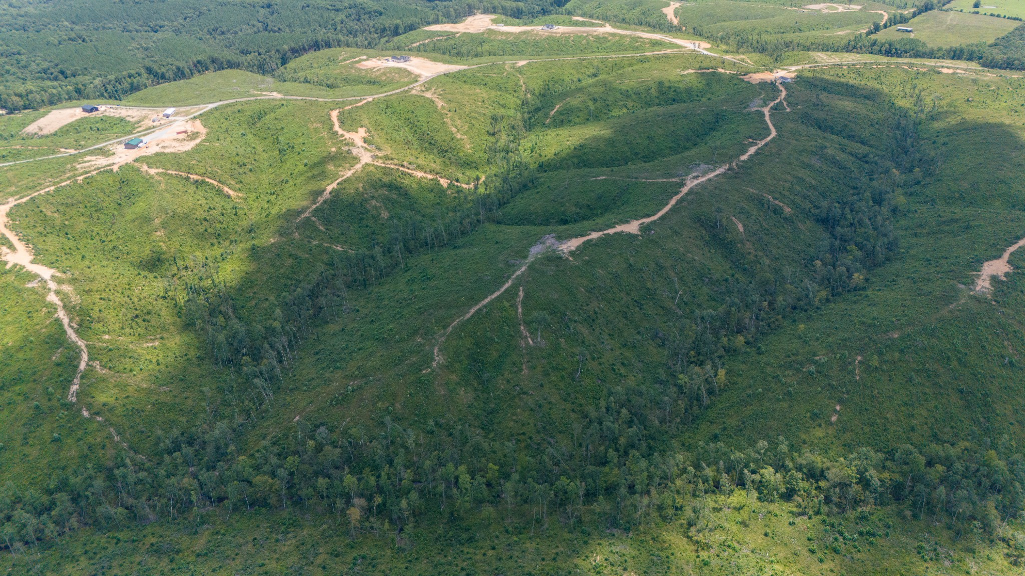 241 Springer Road Hohenwald, TN 38462 - Photo 38 of 63