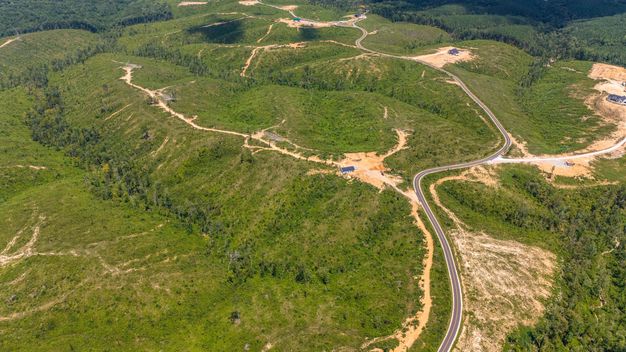 241 Springer Road Hohenwald, TN 38462 - Photo 39 of 63