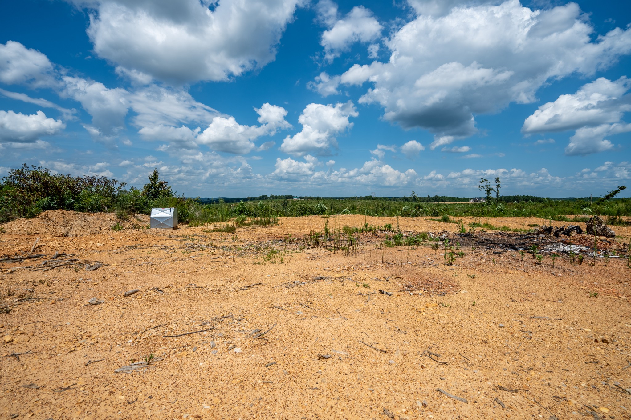 241 Springer Road Hohenwald, TN 38462 - Photo 7 of 63