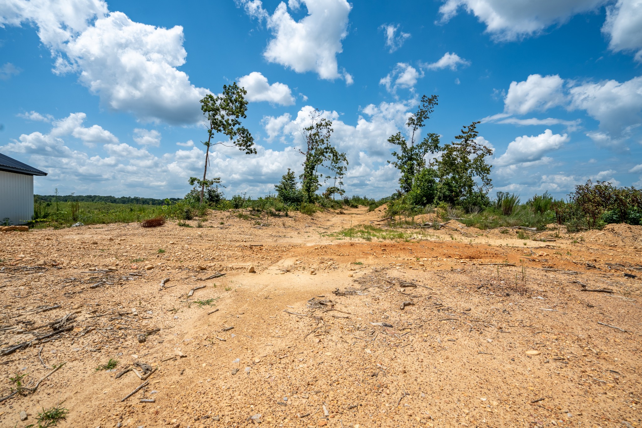 241 Springer Road Hohenwald, TN 38462 - Photo 8 of 63