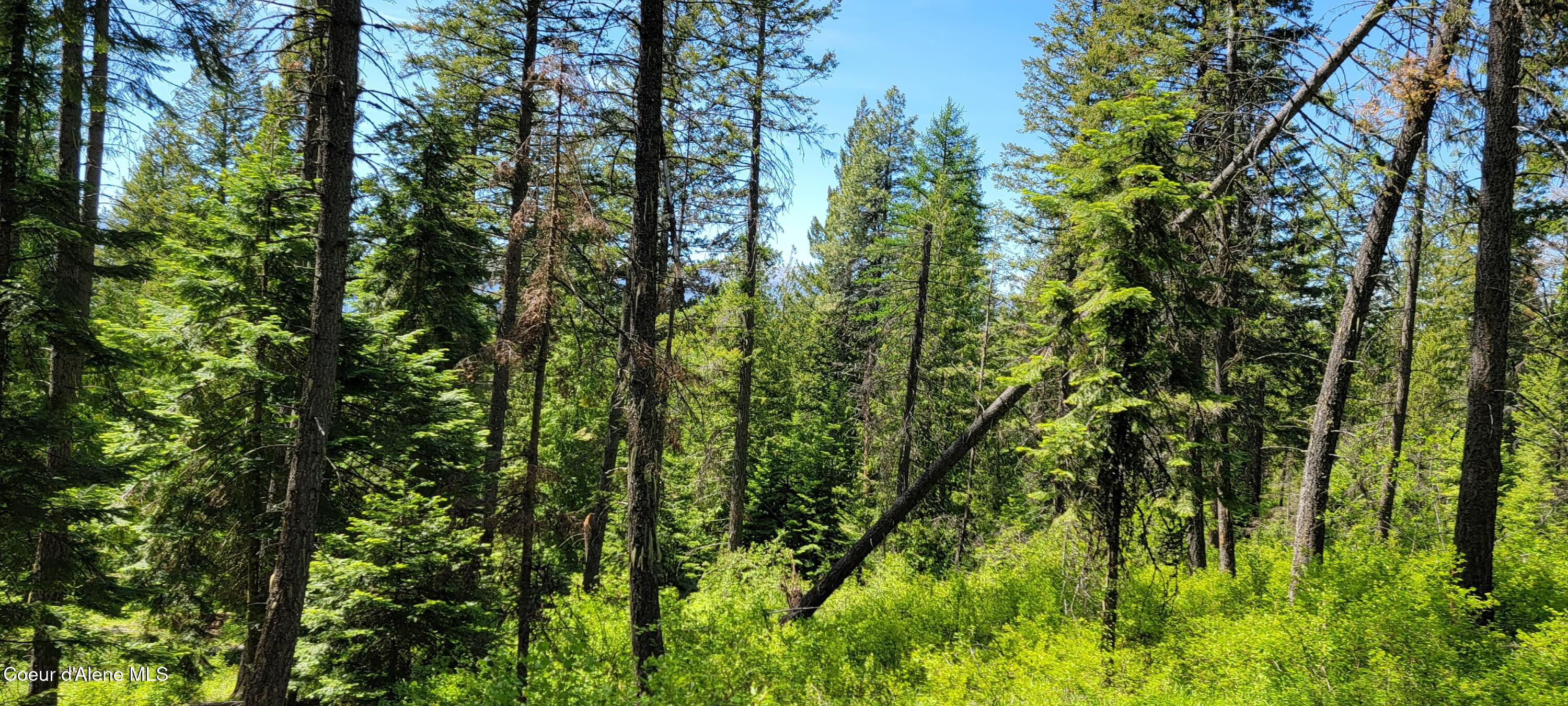 1015 Templeman Lake Road Bonners Ferry, ID 83805 - Photo 11 of 29 20250527_140449