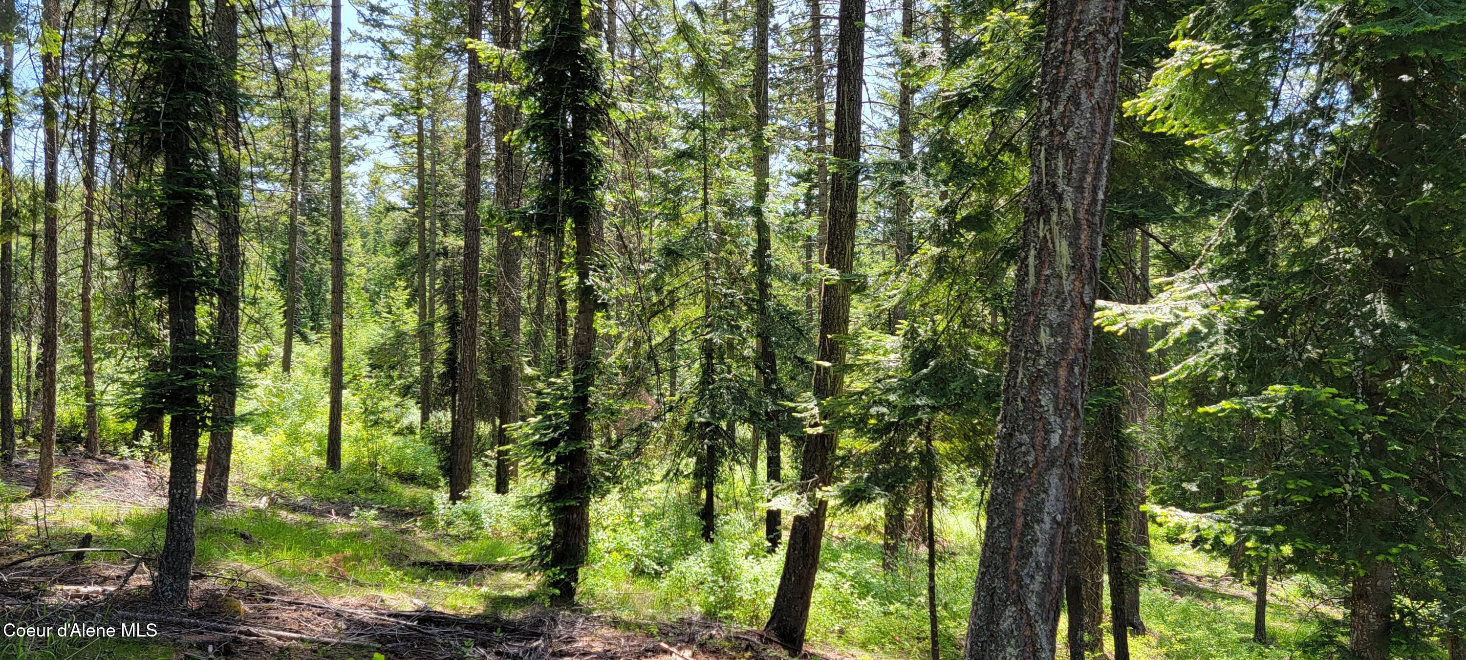 1015 Templeman Lake Road Bonners Ferry, ID 83805 - Photo 12 of 29 20250527_140452