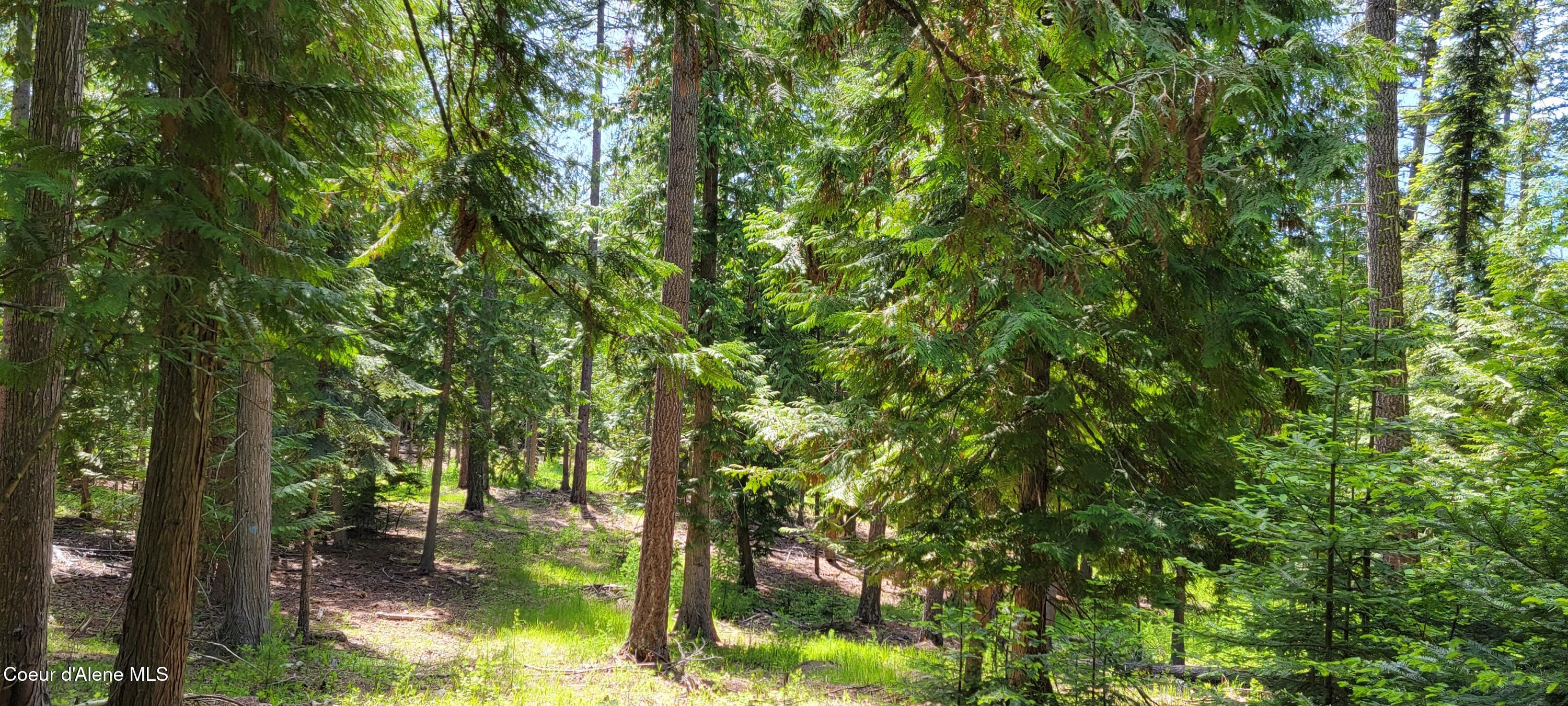 1015 Templeman Lake Road Bonners Ferry, ID 83805 - Photo 13 of 29 20250527_140705