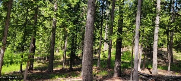 $1,080,000 | 1015 Templeman Lake Road, Bonners Ferry, ID 83805