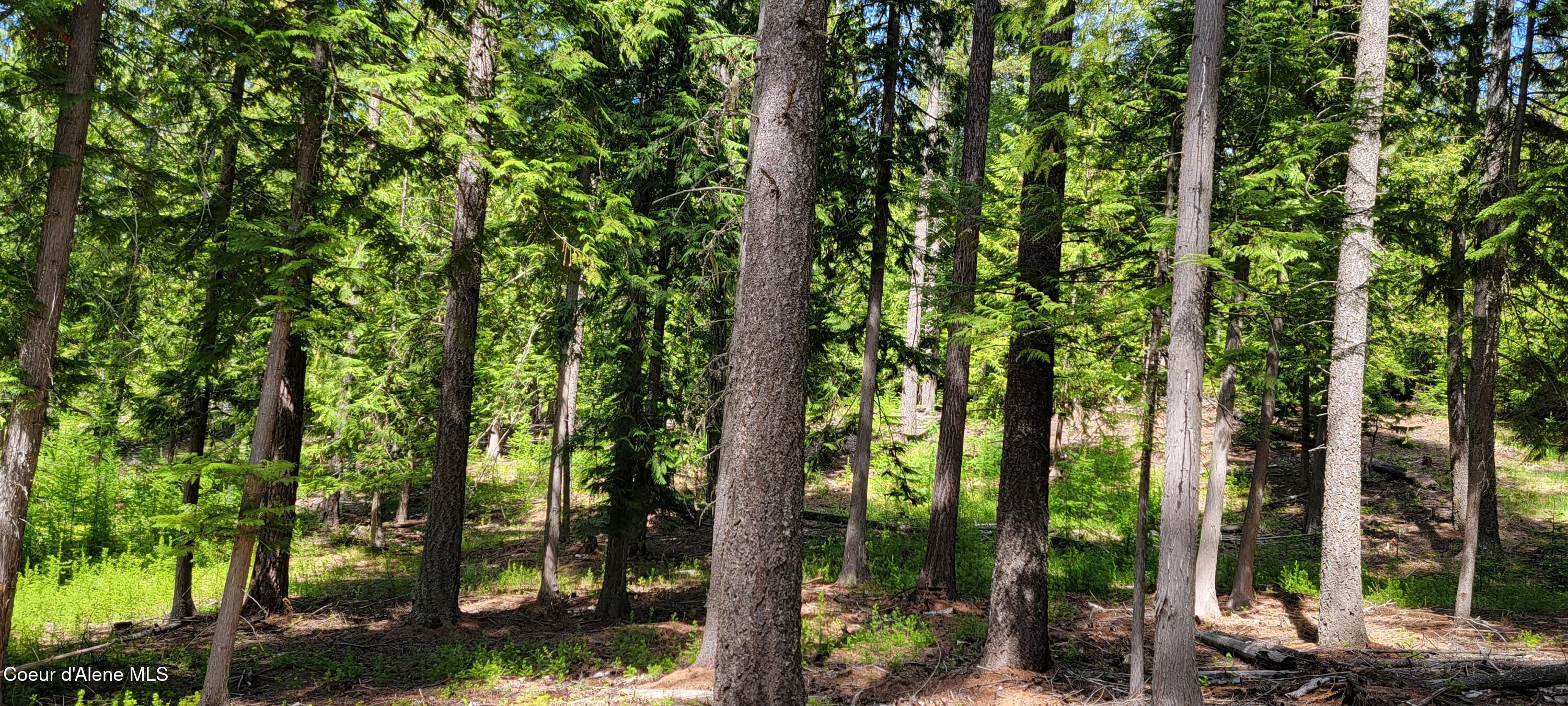 1015 Templeman Lake Road Bonners Ferry, ID 83805 - Photo 14 of 29 20250527_140841