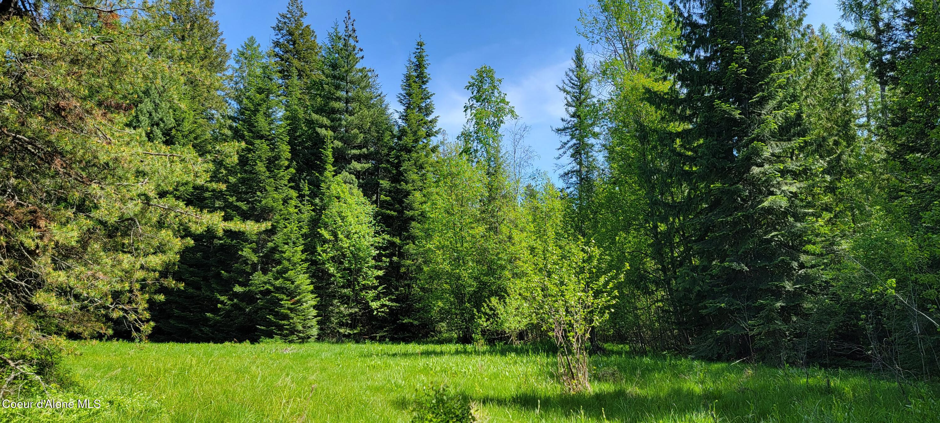 1015 Templeman Lake Road Bonners Ferry, ID 83805 - Photo 16 of 29 20250527_141203