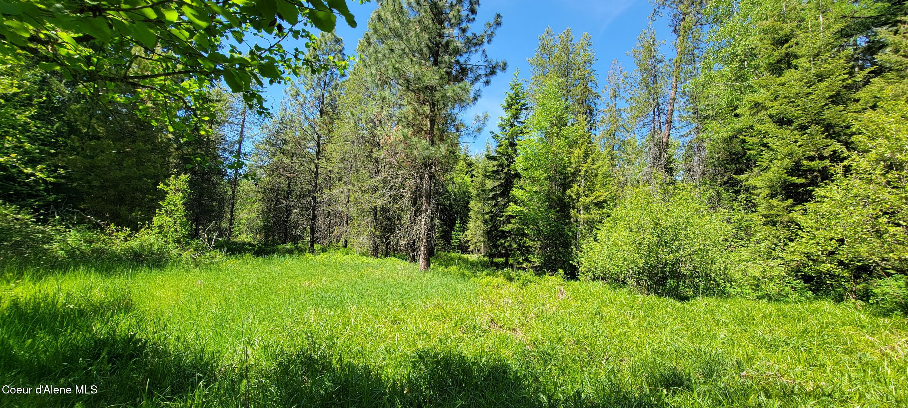 1015 Templeman Lake Road Bonners Ferry, ID 83805 - Photo 18 of 29 20250527_142034