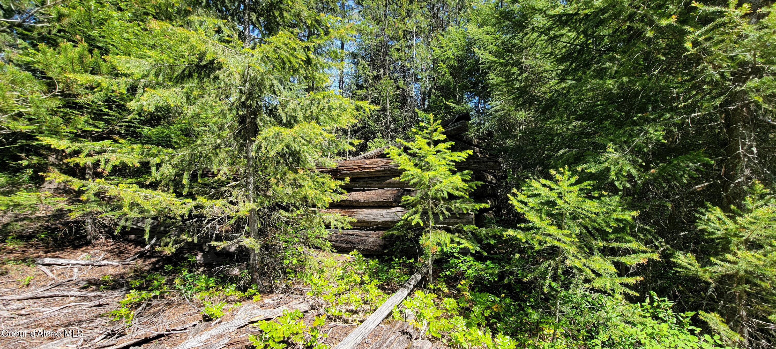 1015 Templeman Lake Road Bonners Ferry, ID 83805 - Photo 20 of 29 20250527_143018