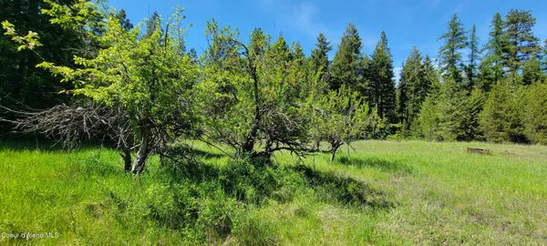 $1,080,000 | 1015 Templeman Lake Road, Bonners Ferry, ID 83805