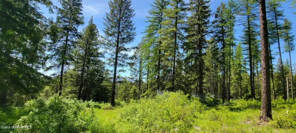 $1,080,000 | 1015 Templeman Lake Road, Bonners Ferry, ID 83805