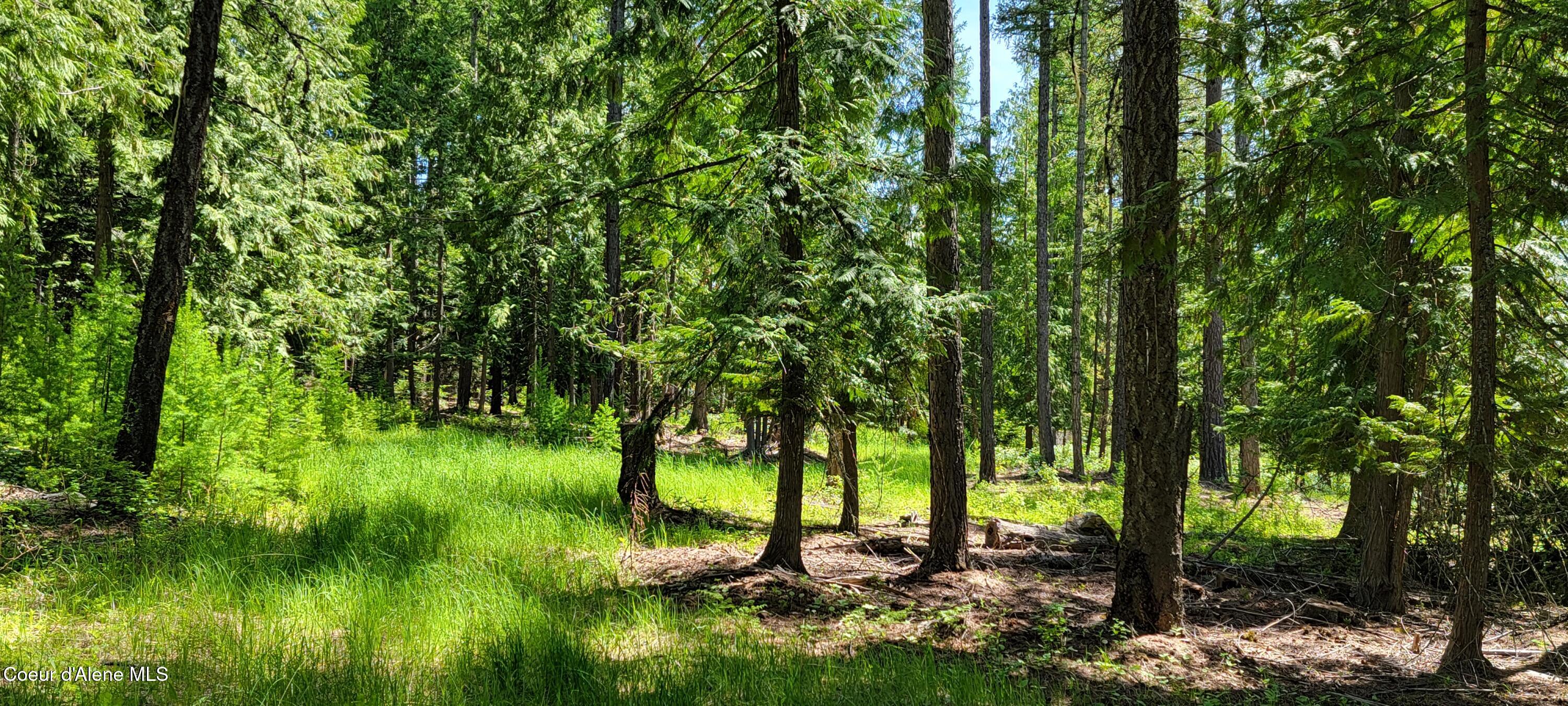 1015 Templeman Lake Road Bonners Ferry, ID 83805 - Photo 5 of 29 20250527_135521