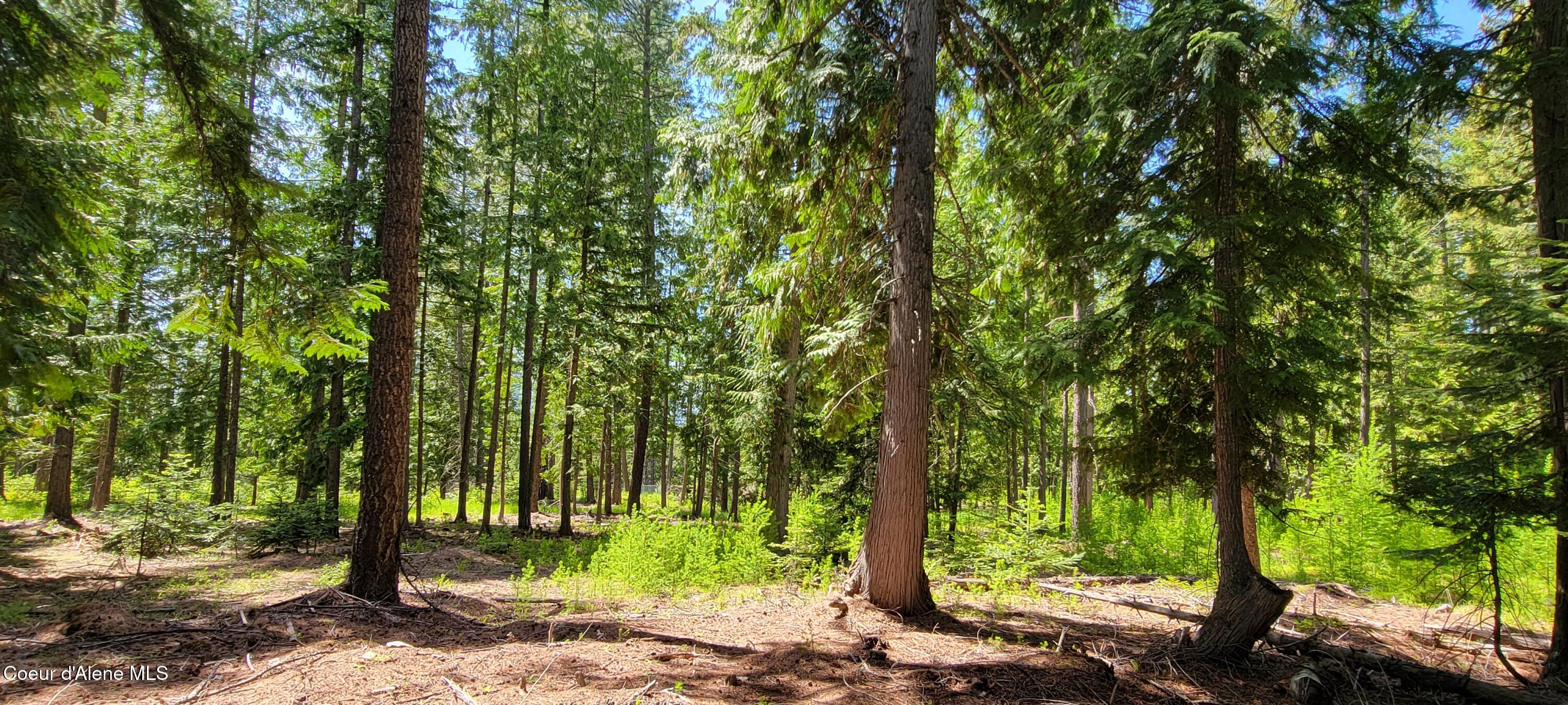 1015 Templeman Lake Road Bonners Ferry, ID 83805 - Photo 7 of 29 20250527_135826