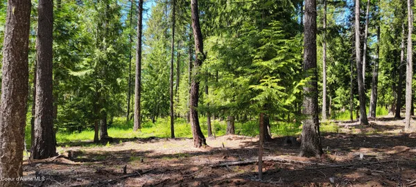 $1,080,000 | 1015 Templeman Lake Road, Bonners Ferry, ID 83805