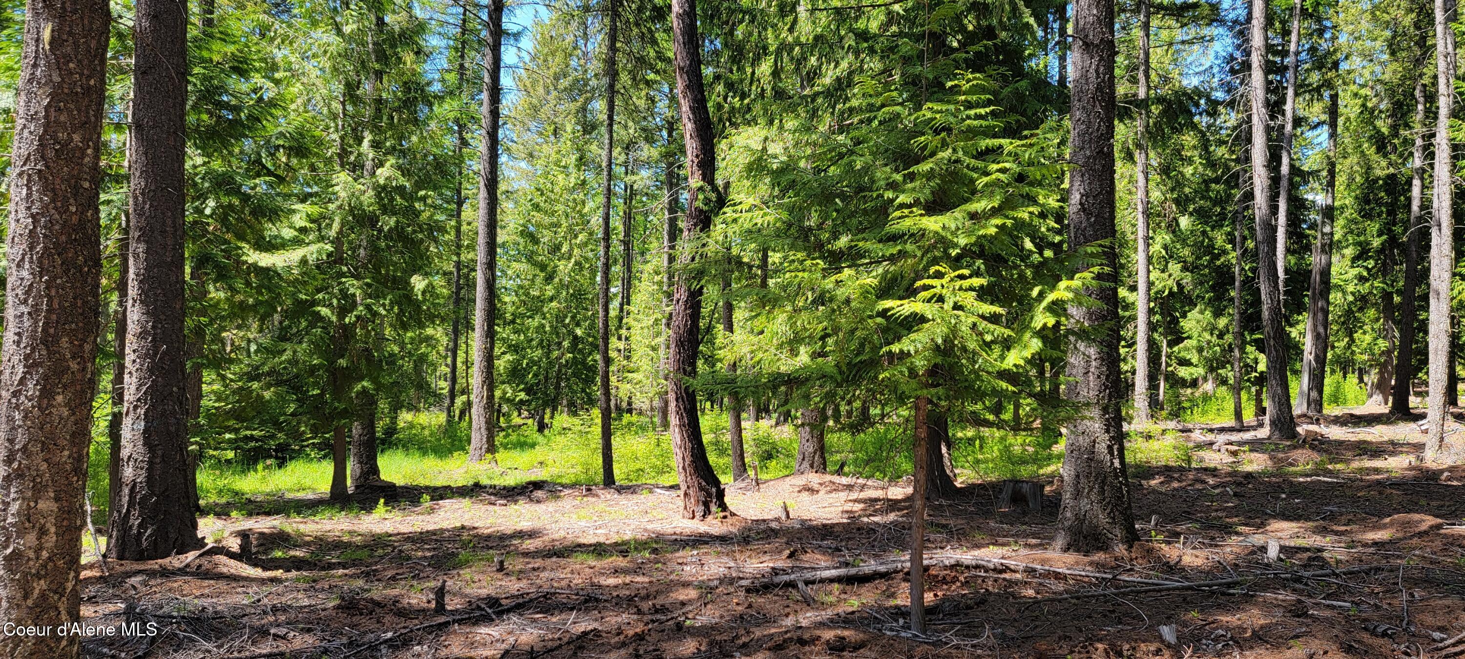 1015 Templeman Lake Road Bonners Ferry, ID 83805 - Photo 8 of 29 20250527_140107