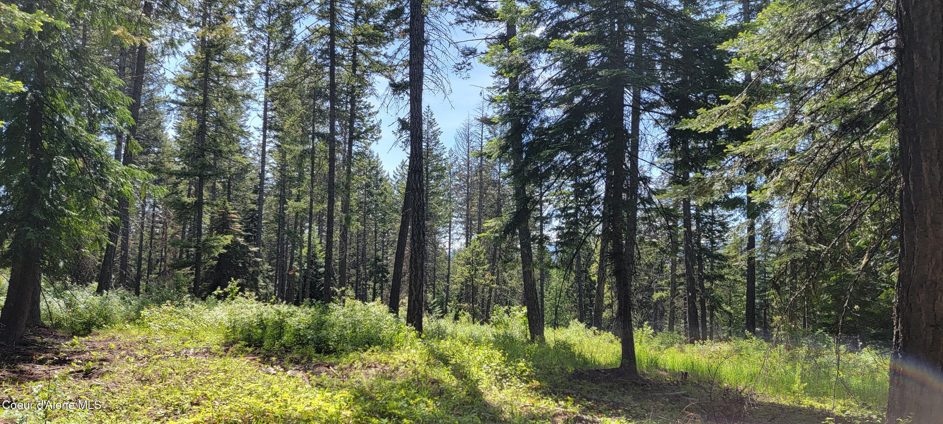 1015 Templeman Lake Road Bonners Ferry, ID 83805 - Photo 9 of 29 20250527_140226