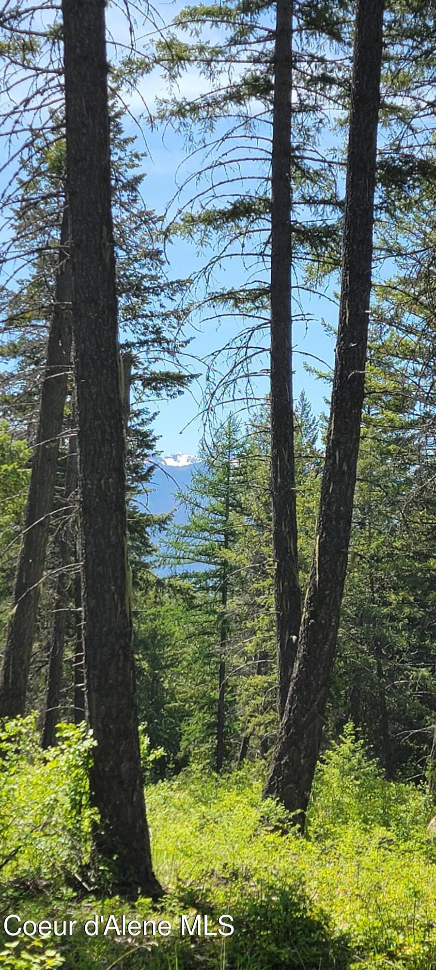 1015 Templeman Lake Road Bonners Ferry, ID 83805 - Photo 10 of 29 20250527_140247