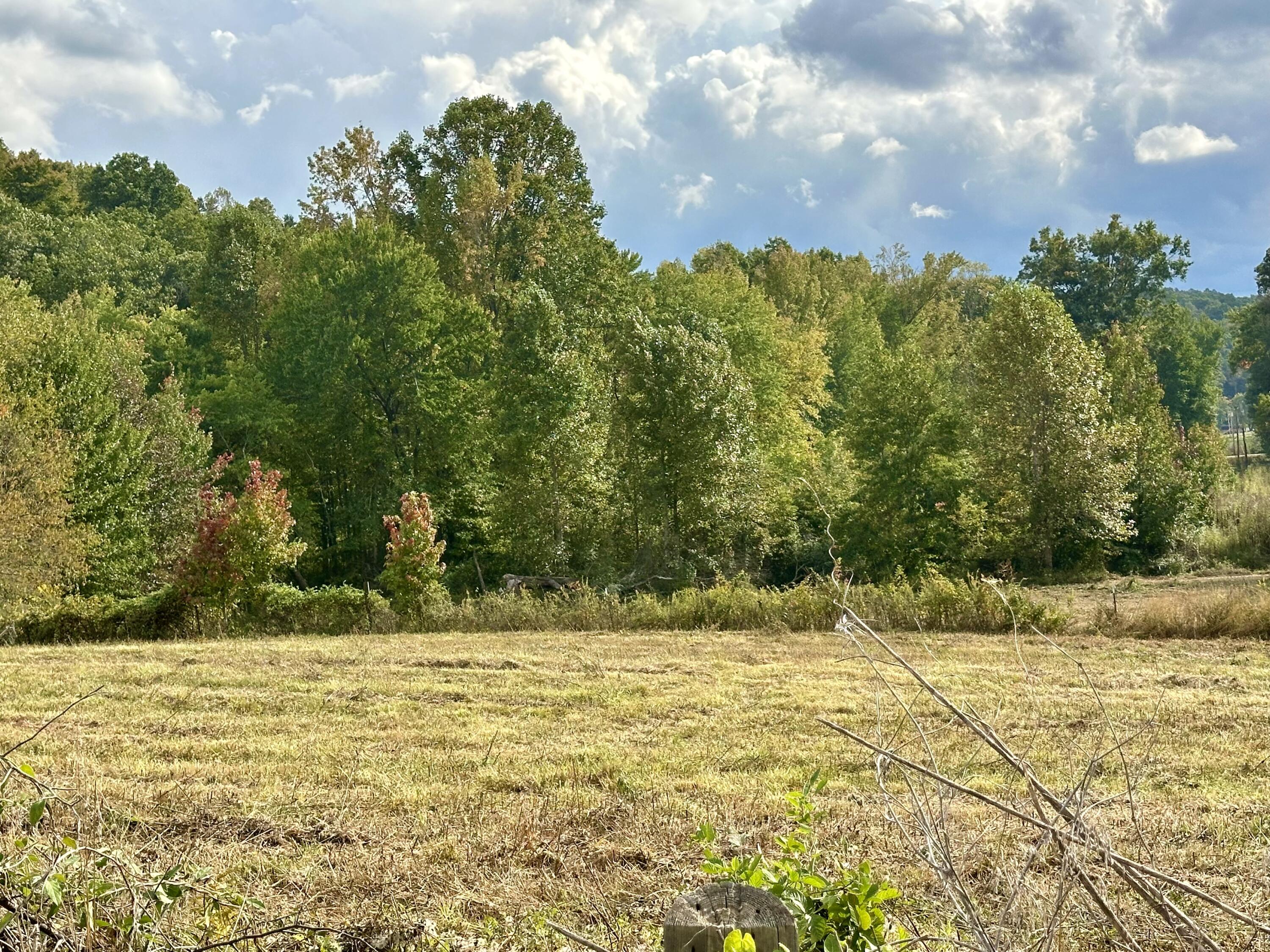 1073 Old Way Road London, KY 40741 - Photo 18 of 35 HEAVILY WOODED
