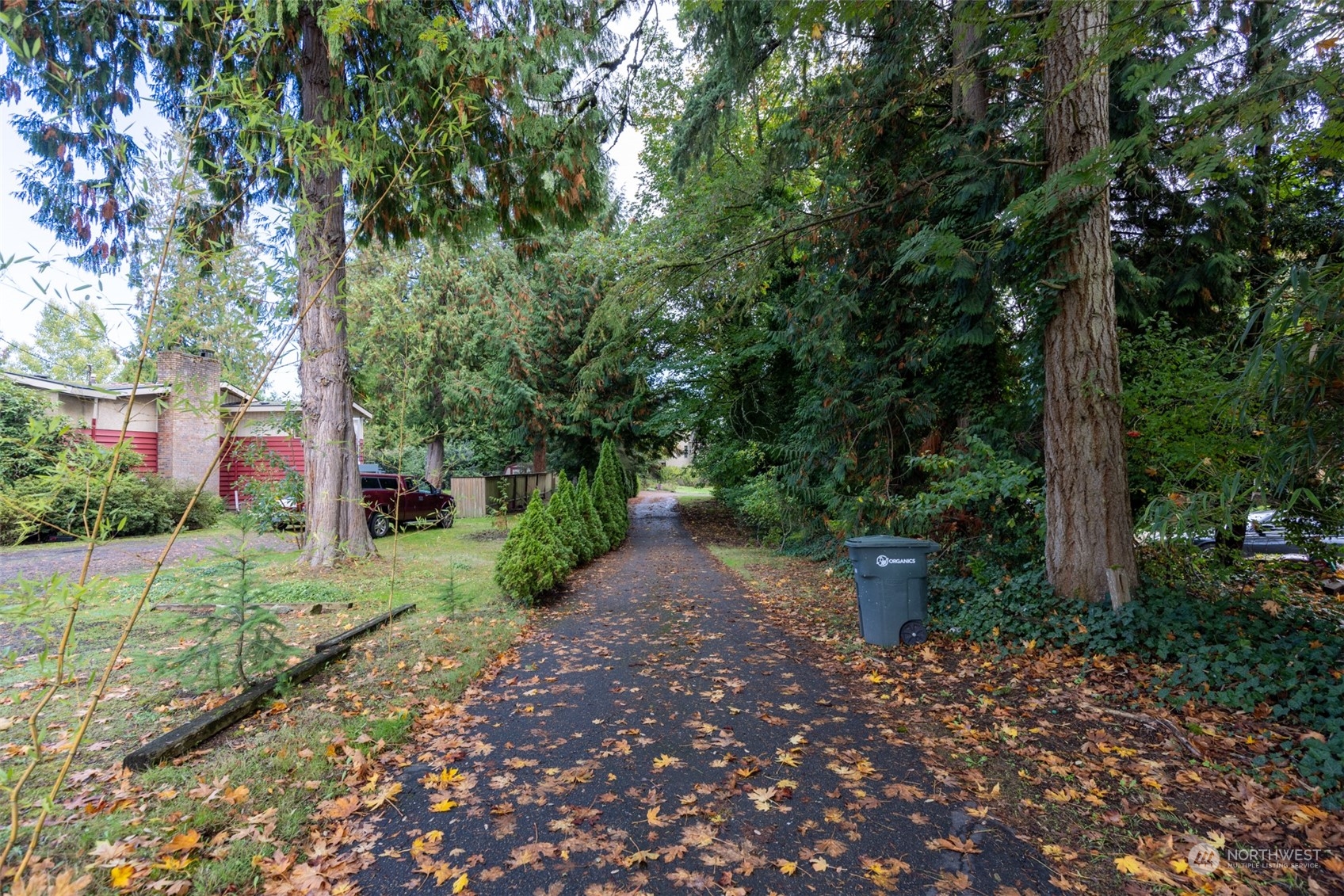 23813 Meridian Avenue South Bothell, WA 98021 - Photo 7 of 10 a pathway of a garden with plants and large trees