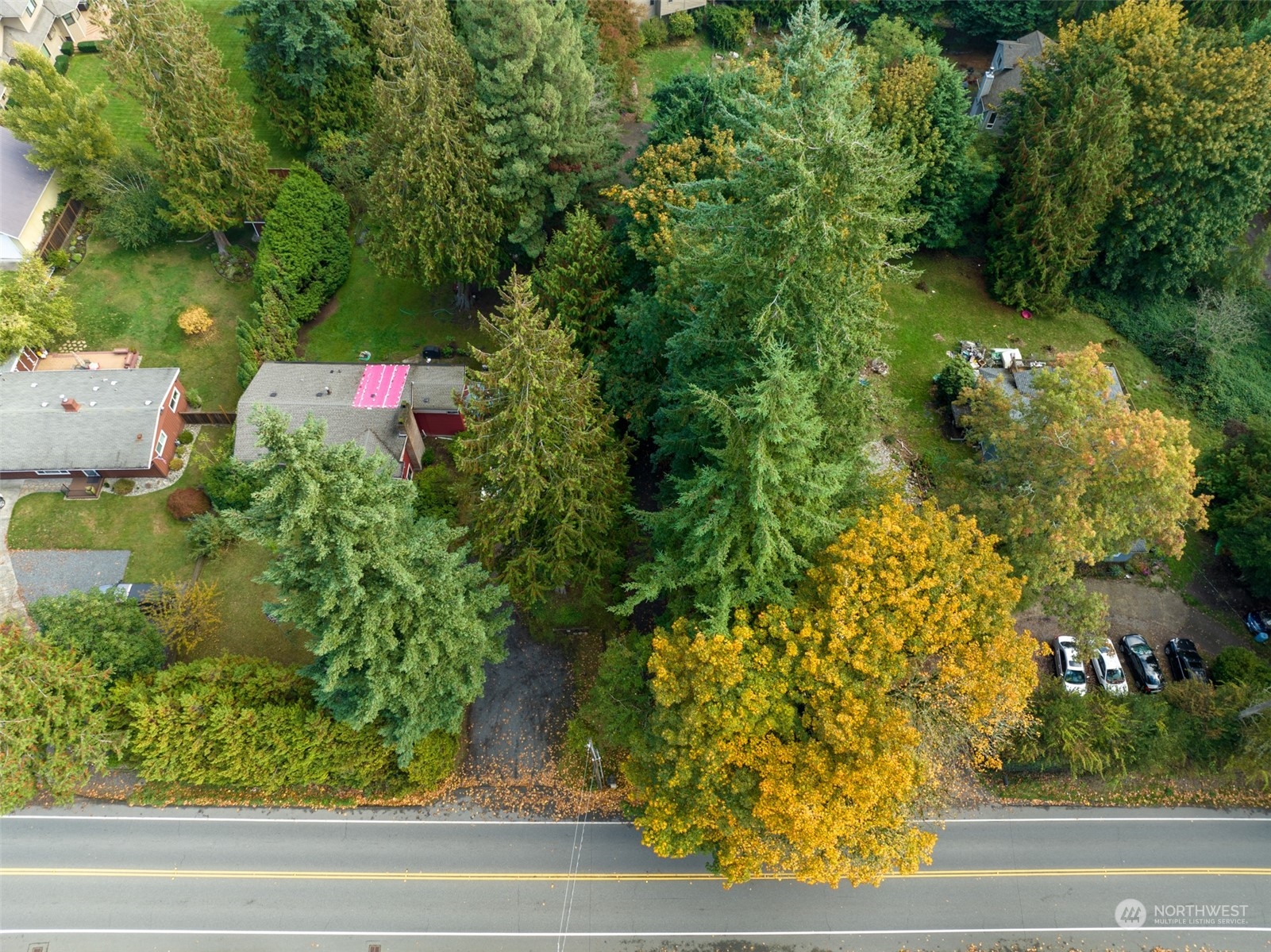 23813 Meridian Avenue South Bothell, WA 98021 - Photo 10 of 10 an outdoor space with lots of trees
