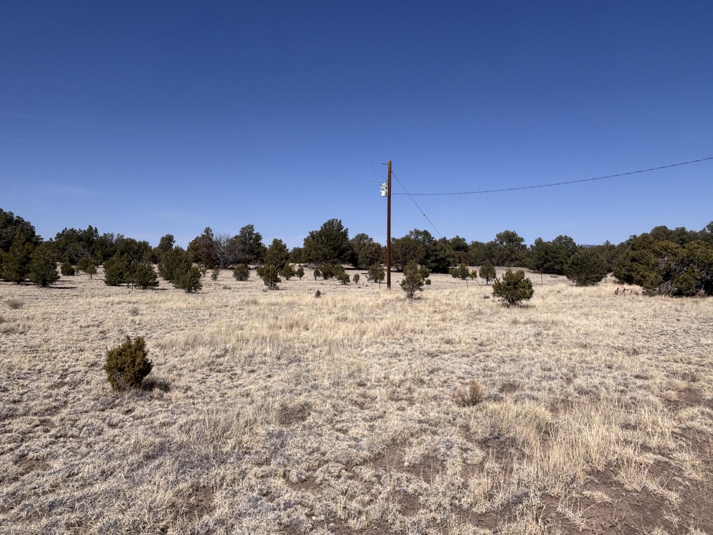 233 Turquoise Trail Datil, NM 87821 - Photo 33 of 46 Gallery Image 33