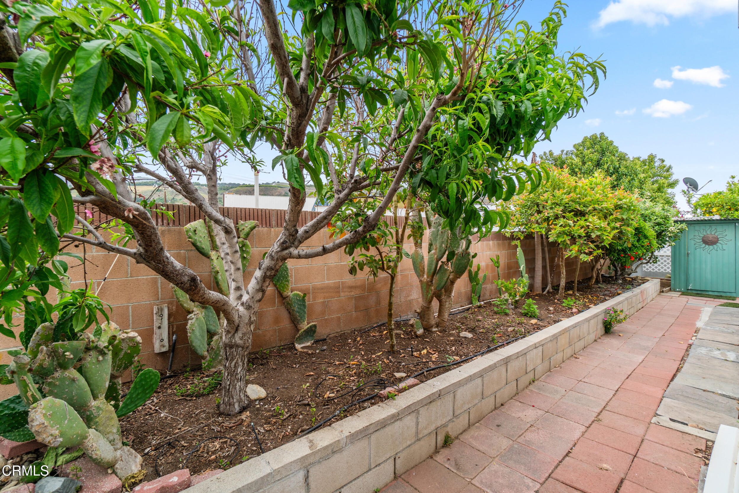 250 East Telegraph Road, Unit 40 Fillmore, CA 93015 - Photo 19 of 25 Yard