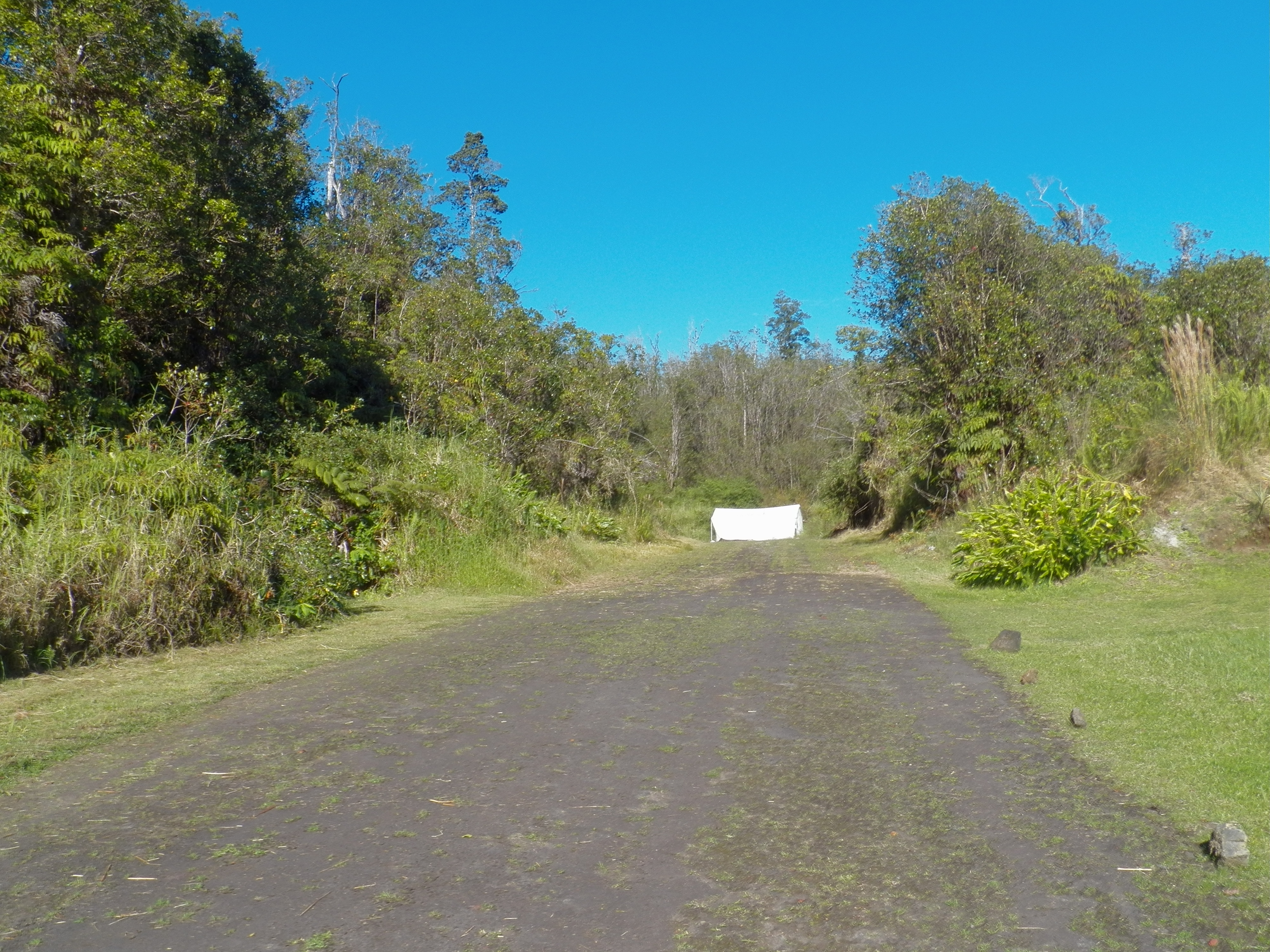 150 Holana Street Mountain View, HI 96771 - Photo 4 of 6 a view of a road with a trees in the background