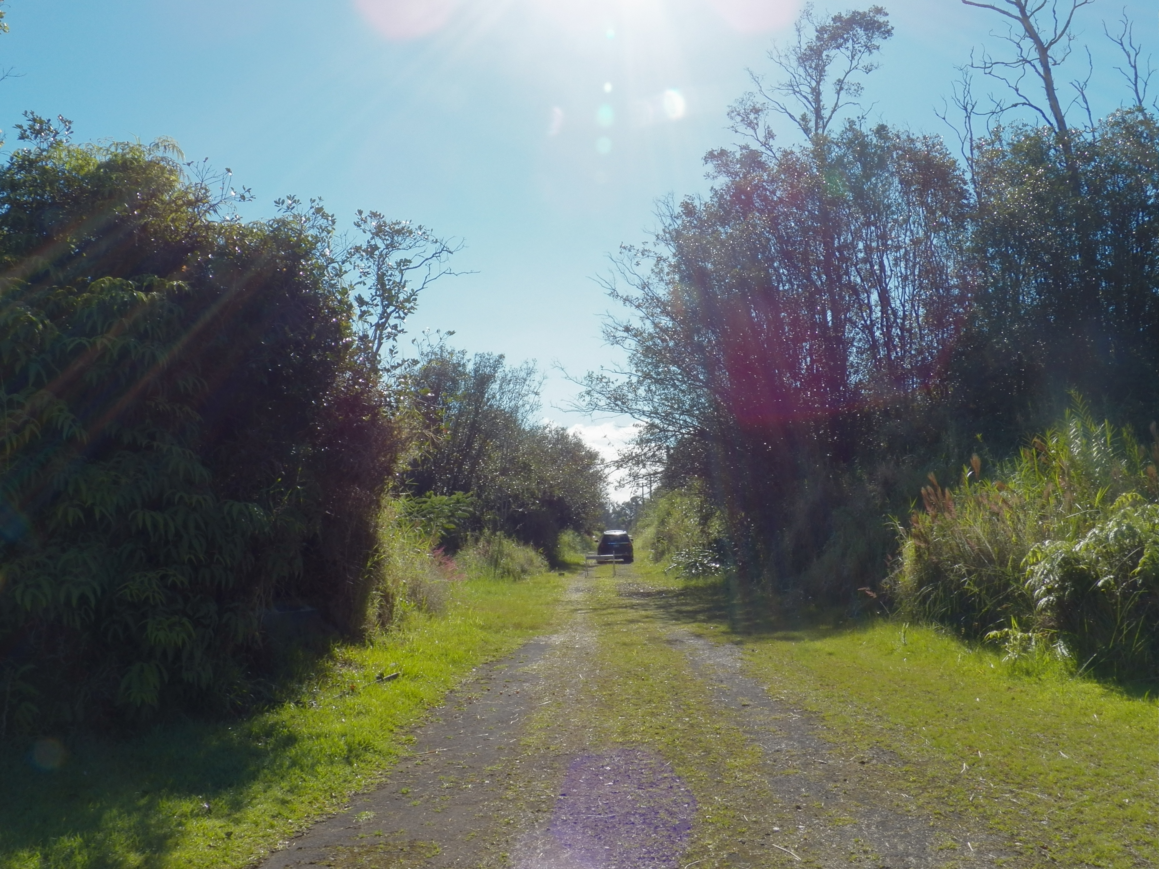 150 Holana Street Mountain View, HI 96771 - Photo 5 of 6 a view of yard with green space