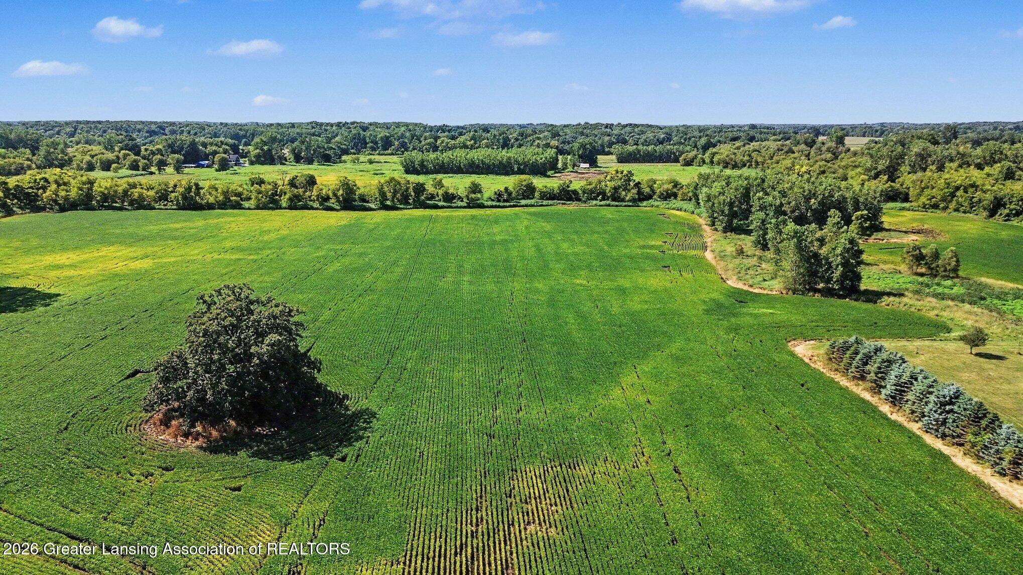 0 Elliott Road Mason, MI 48854 - Photo 2 of 15 (2)0 Elliot Rd. Front Aerial View
