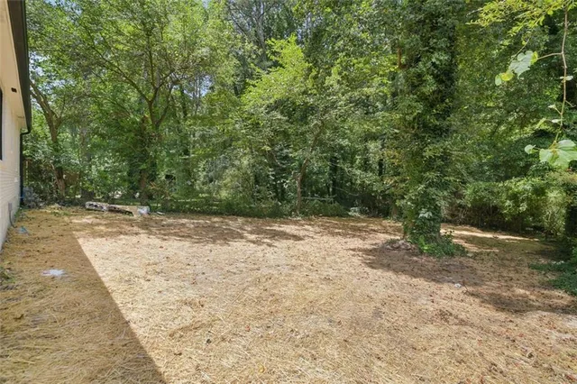 a view of a yard with a tree