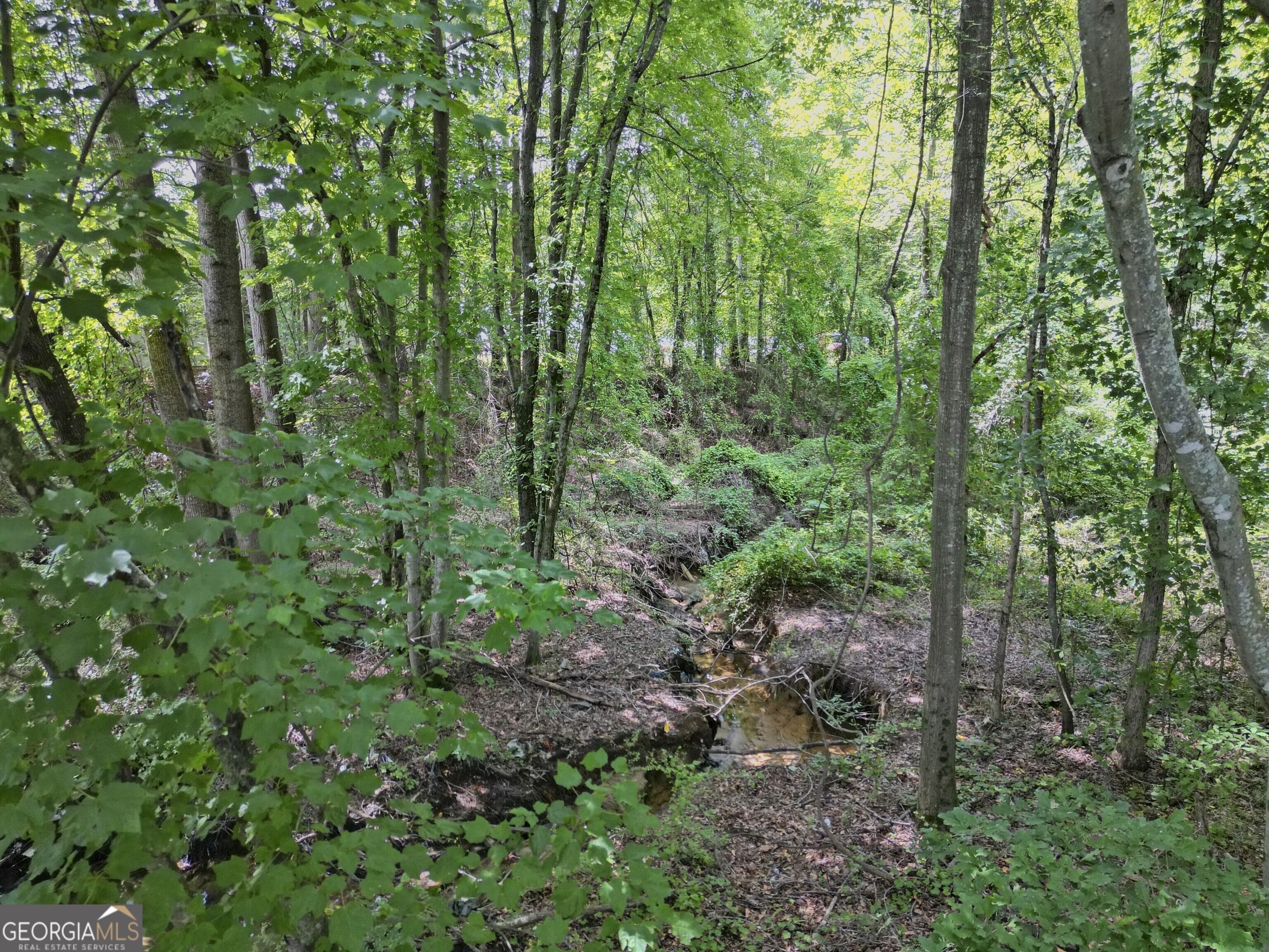 2095 Sigman Road Northwest Conyers, GA 30012 - Photo 5 of 11 a view of a lush green forest