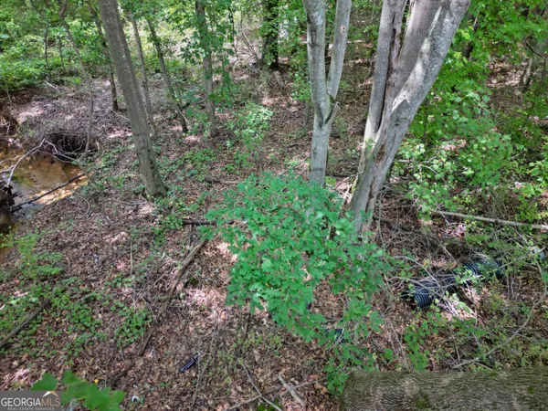 a view of a large yard with lots of green space